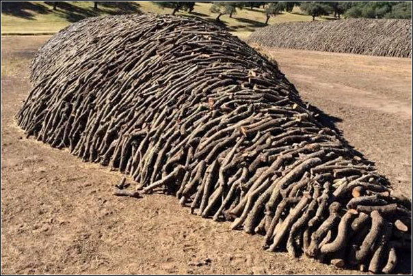 Carbones Otzarreta - Carbón marabú cubano y carbón de encina en Gipuzkoa