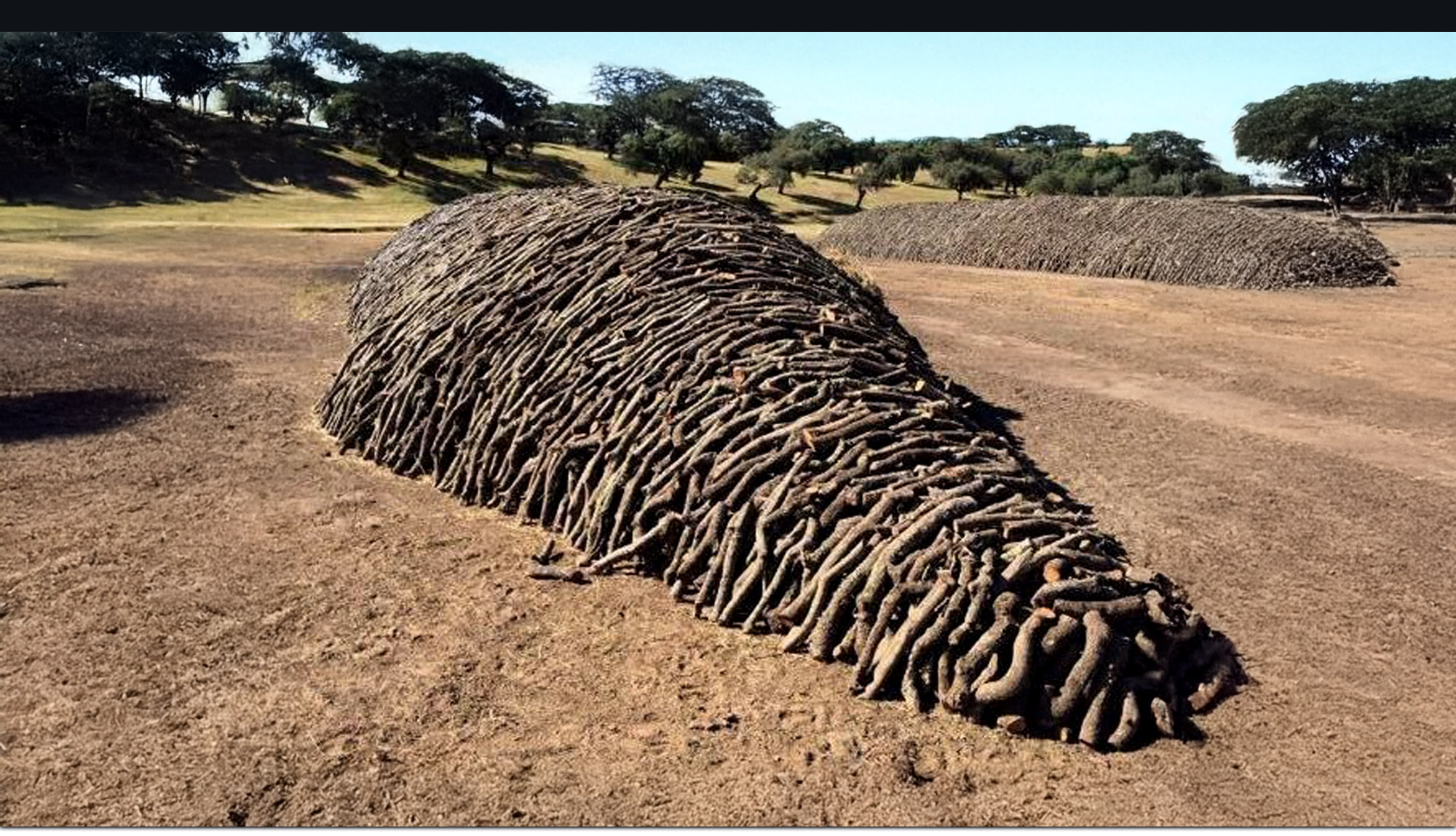 Carbones Otzarreta - Carbón marabú cubano y carbón de encina en Gipuzkoa